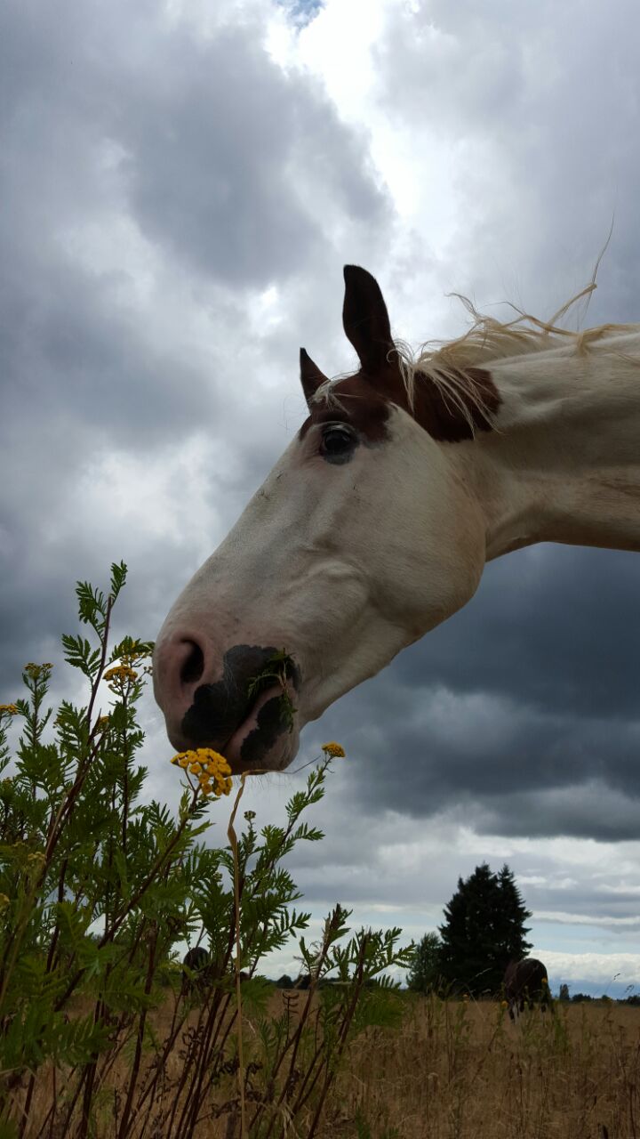 IMG-20220206-WA0002